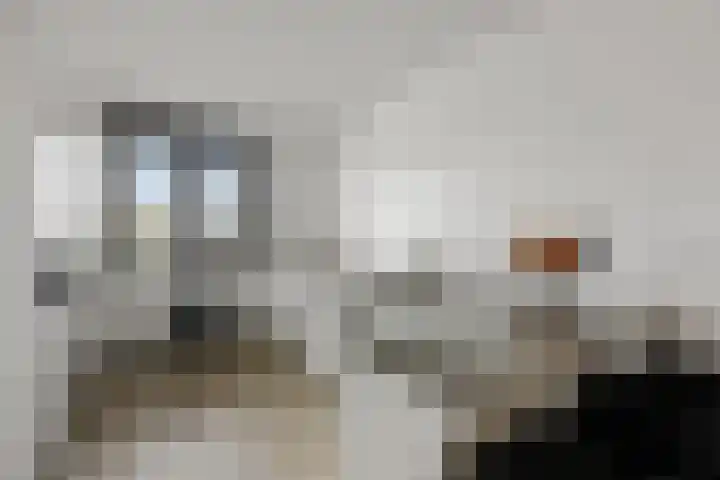 Oosterkamp 13 Voorthuizen thumbnail 12