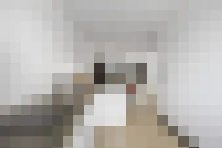 Oosterkamp 13 Voorthuizen thumbnail 14