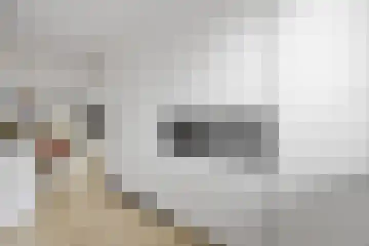 Oosterkamp 13 Voorthuizen thumbnail 16
