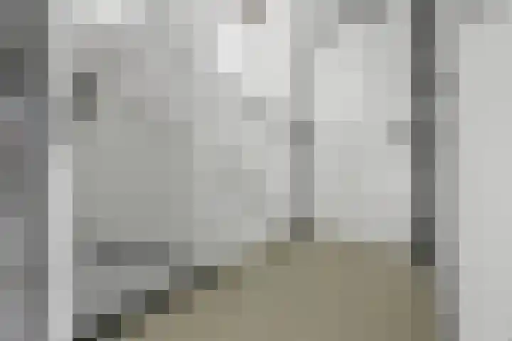 Oosterkamp 13 Voorthuizen thumbnail 17