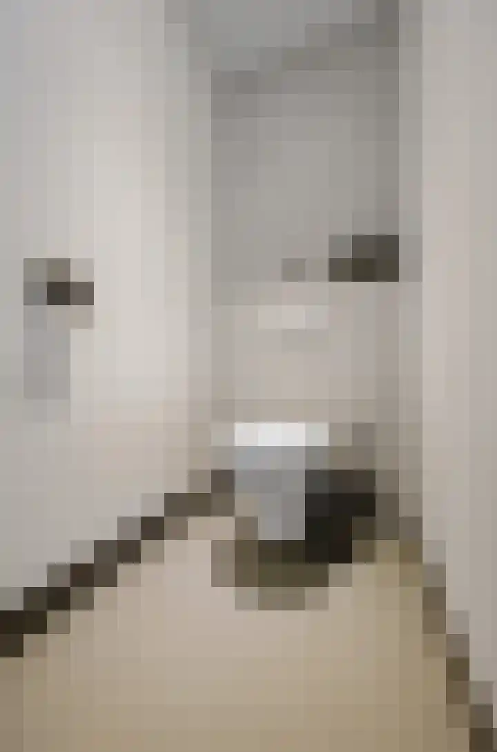 Oosterkamp 13 Voorthuizen thumbnail 18