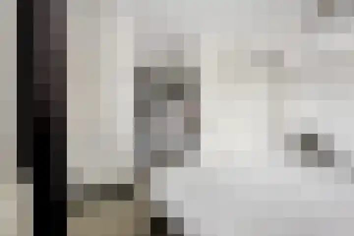 Oosterkamp 13 Voorthuizen thumbnail 20