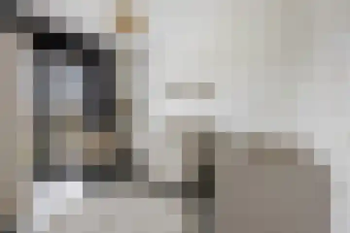 Oosterkamp 13 Voorthuizen thumbnail 22