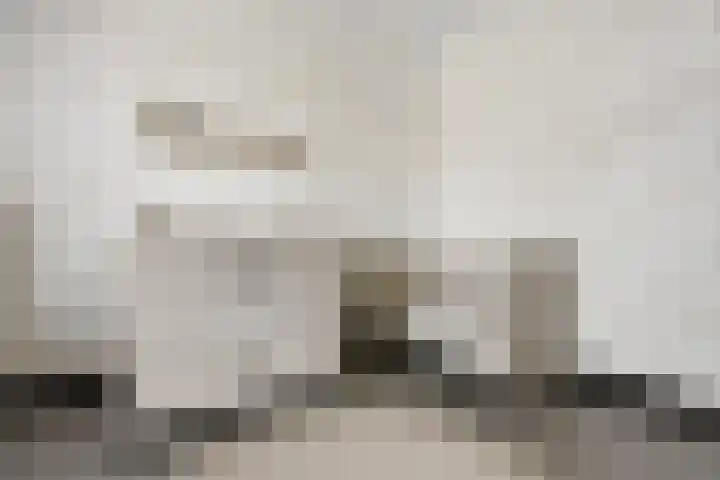 Oosterkamp 13 Voorthuizen thumbnail 23