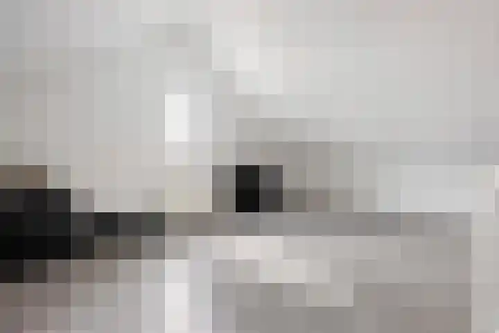 Oosterkamp 13 Voorthuizen thumbnail 29