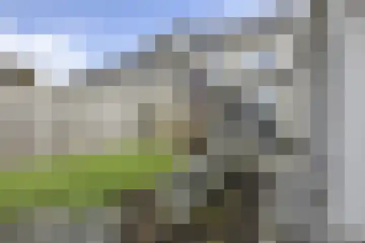Oosterkamp 13 Voorthuizen thumbnail 32
