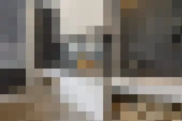 Oosterkamp 13 Voorthuizen thumbnail 35