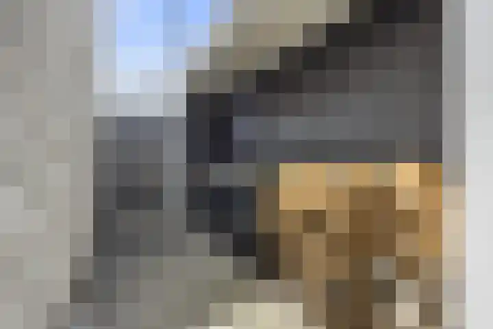 Oosterkamp 13 Voorthuizen thumbnail 39