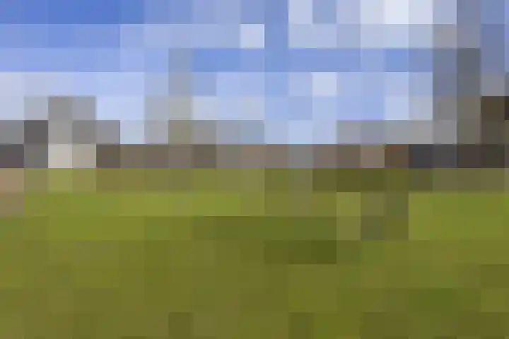 Oosterkamp 13 Voorthuizen thumbnail 48