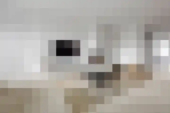 Oosterkamp 13 Voorthuizen thumbnail 8