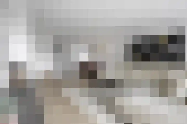 Oosterkamp 13 Voorthuizen thumbnail 9