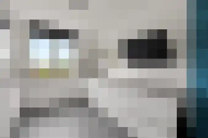 Oosterkamp 23 Voorthuizen thumbnail 10