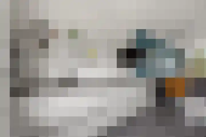 Oosterkamp 23 Voorthuizen thumbnail 12