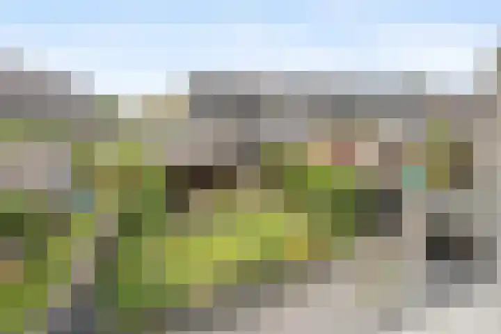 Oosterkamp 23 Voorthuizen thumbnail 18