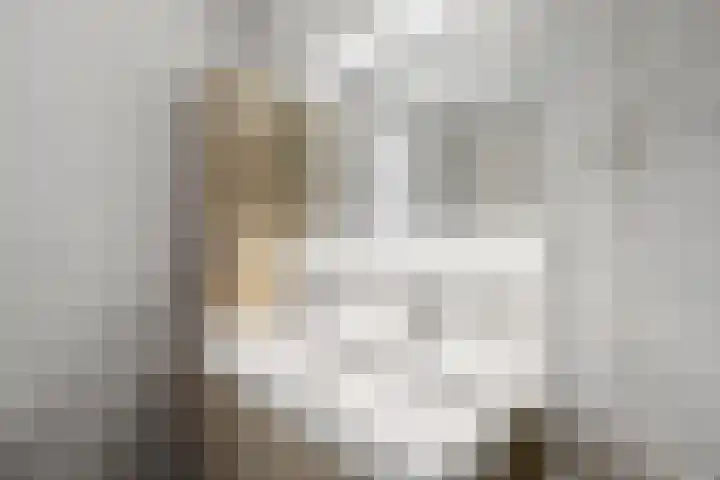 Oosterkamp 23 Voorthuizen thumbnail 24