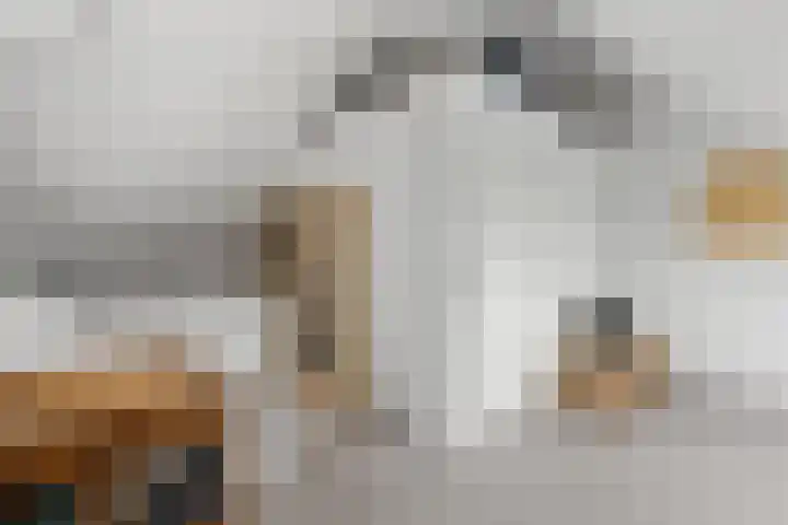 Oosterkamp 23 Voorthuizen thumbnail 29