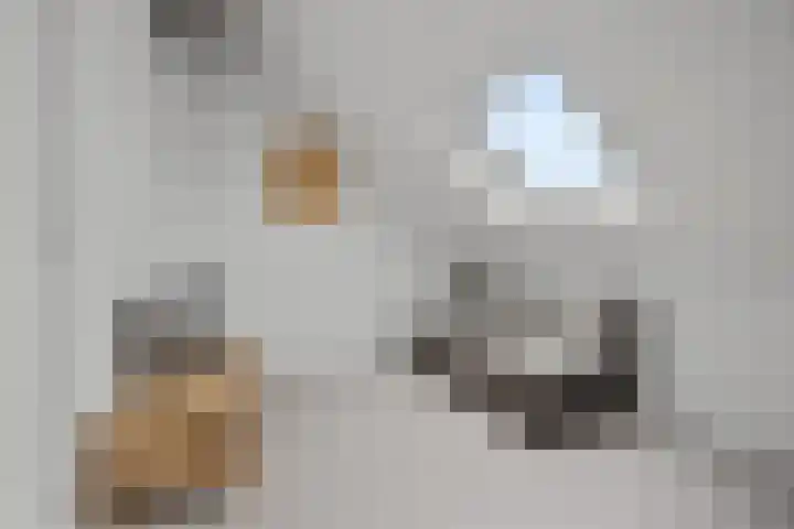 Oosterkamp 23 Voorthuizen thumbnail 30
