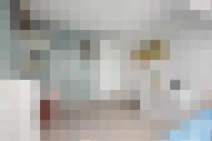 Oosterkamp 23 Voorthuizen thumbnail 34