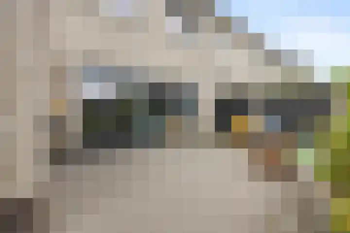Oosterkamp 23 Voorthuizen thumbnail 35