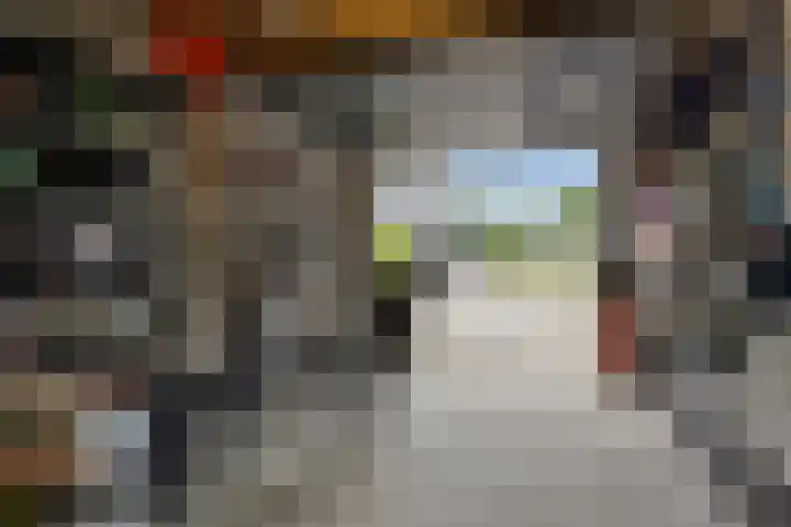 Oosterkamp 23 Voorthuizen thumbnail 37