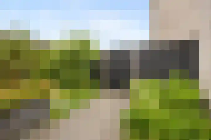 Oosterkamp 23 Voorthuizen thumbnail 38