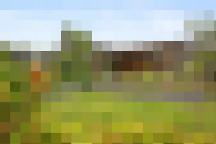 Oosterkamp 23 Voorthuizen thumbnail 39