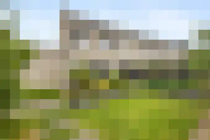 Oosterkamp 23 Voorthuizen thumbnail 43