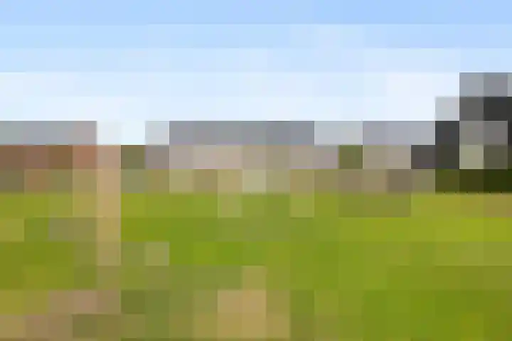 Oosterkamp 23 Voorthuizen thumbnail 45