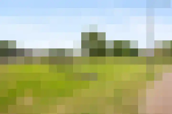 Oosterkamp 23 Voorthuizen thumbnail 48