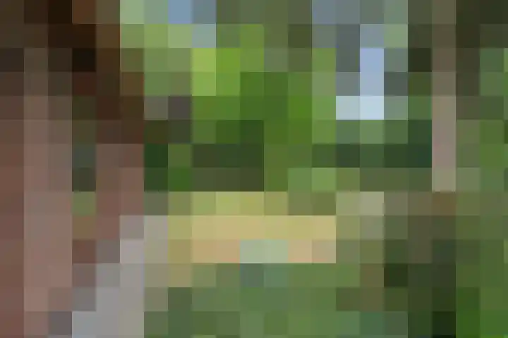Oosterkamp 7 Lunteren thumbnail 34