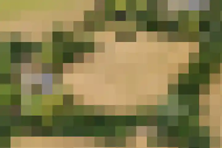 Oosterkamp 7 Lunteren thumbnail 42