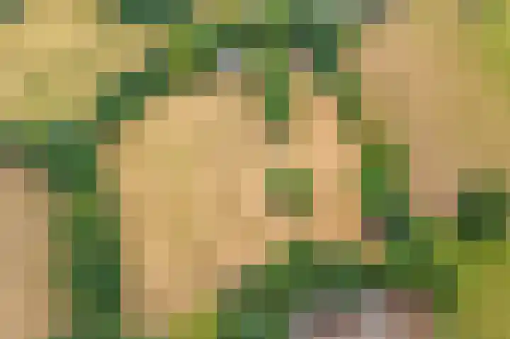 Oosterkamp 7 Lunteren thumbnail 43
