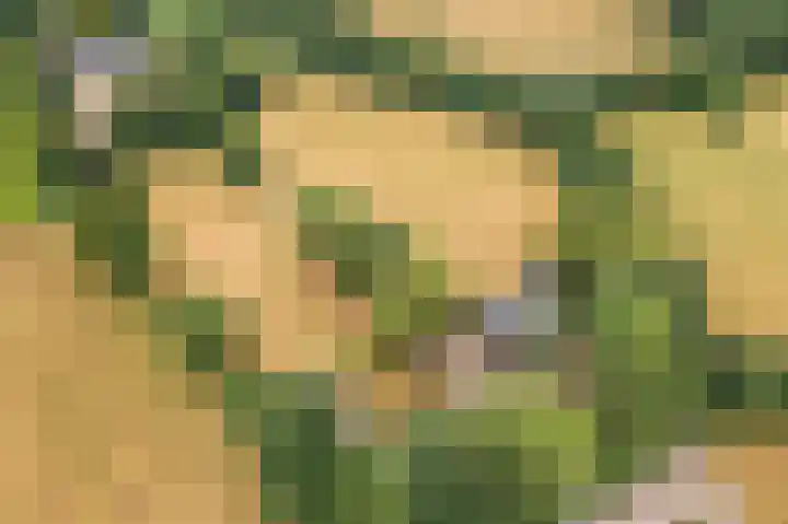 Oosterkamp 7 Lunteren thumbnail 46