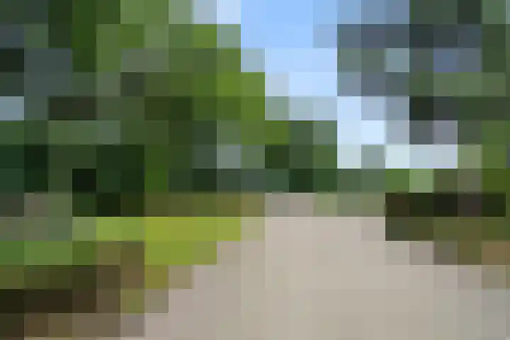 Oosterkamp 7 Lunteren thumbnail 48