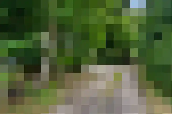 Oosterkamp 7 Lunteren thumbnail 49