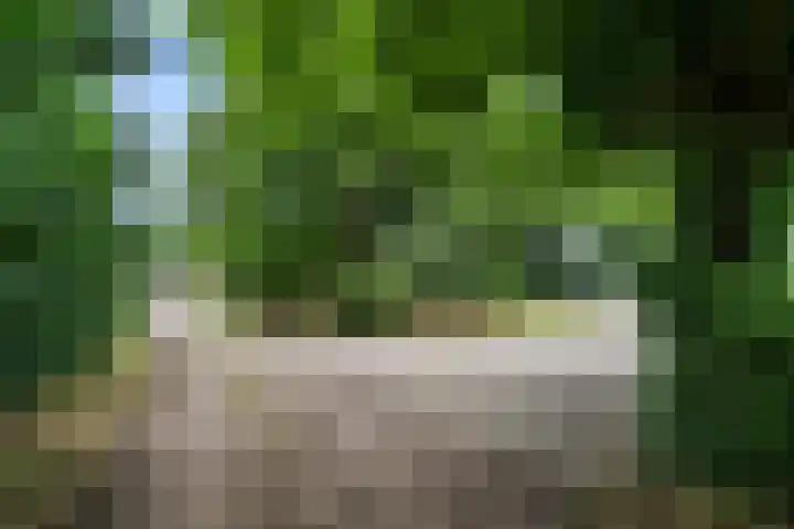 Oosterkamp 7 Lunteren thumbnail 50