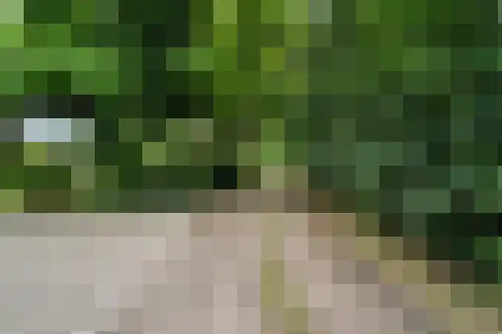 Oosterkamp 7 Lunteren thumbnail 51