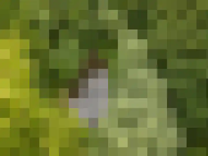 Oosterkamp 7 Lunteren thumbnail 6