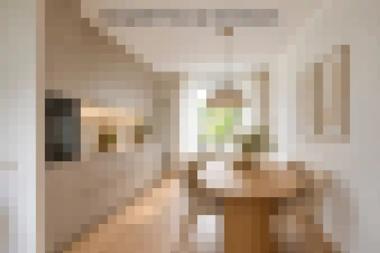 Oosterkampen 38 Vries thumbnail 20