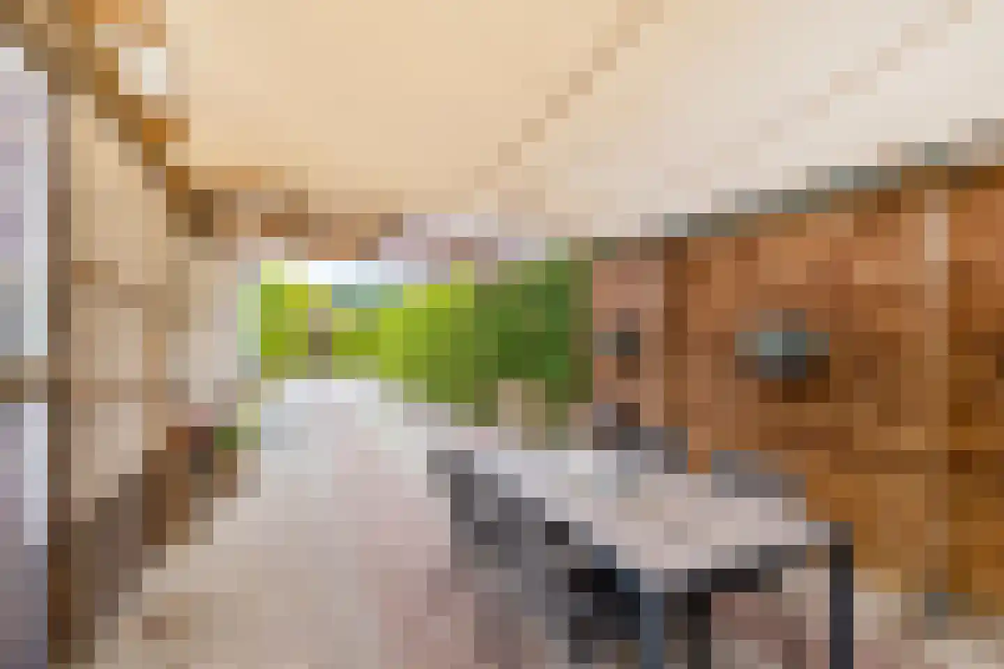 Oosterkampen 38 Vries thumbnail 8