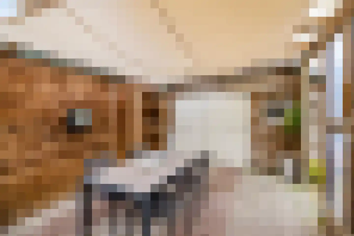 Oosterkampen 38 Vries thumbnail 9