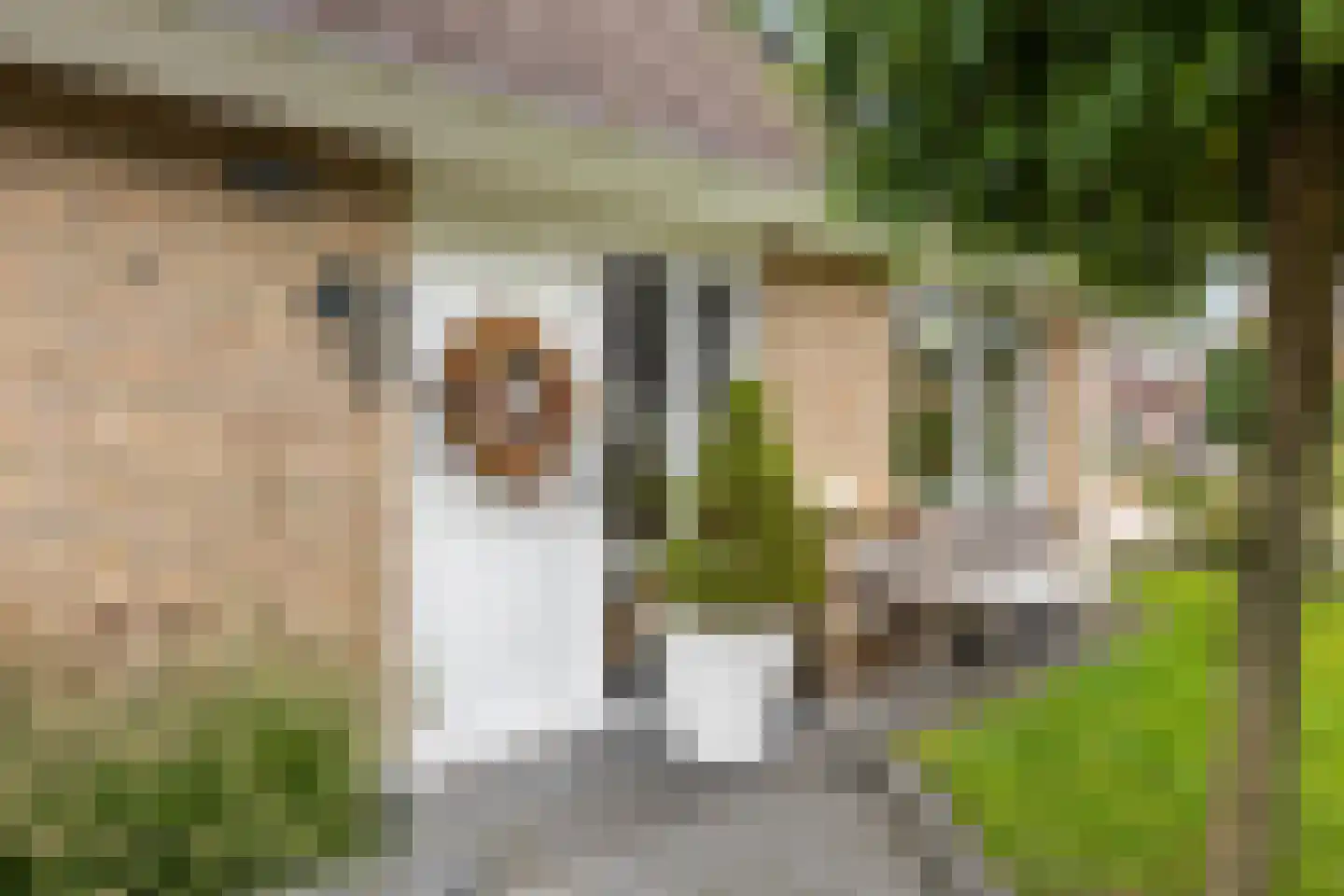 Oosterkampen 40 Vries thumbnail 10