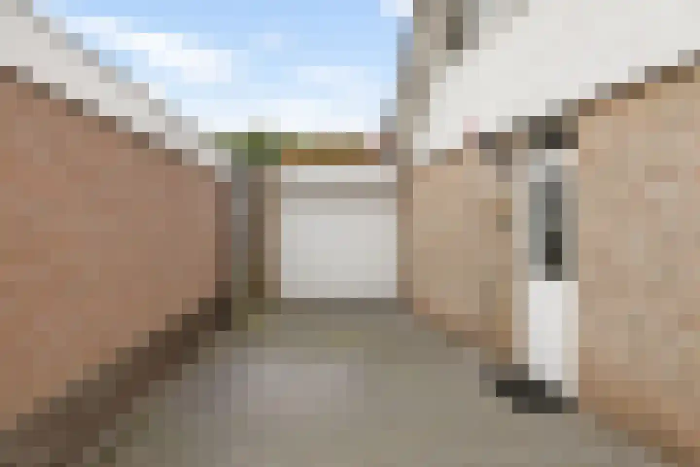 Oosterkampen 40 Vries thumbnail 49