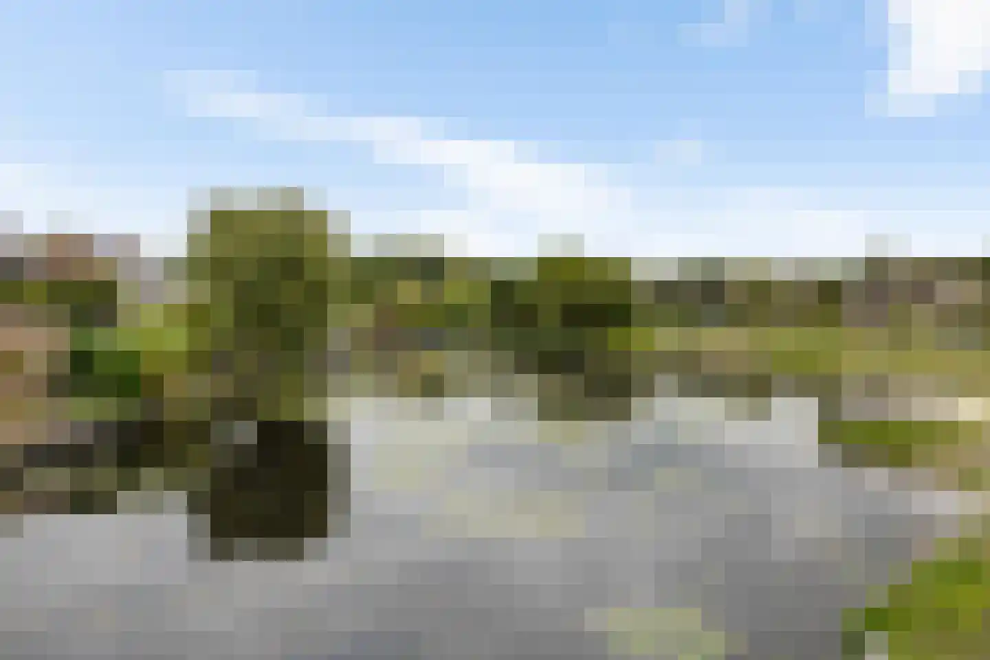 Oosterkampen 40 Vries thumbnail 64