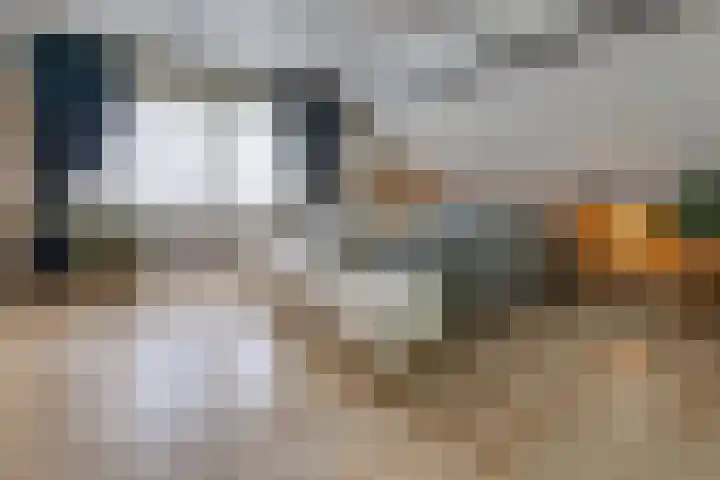 Oosterkampen 7 Ees thumbnail 16
