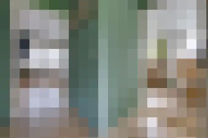 Oosterkampen 7 Ees thumbnail 22