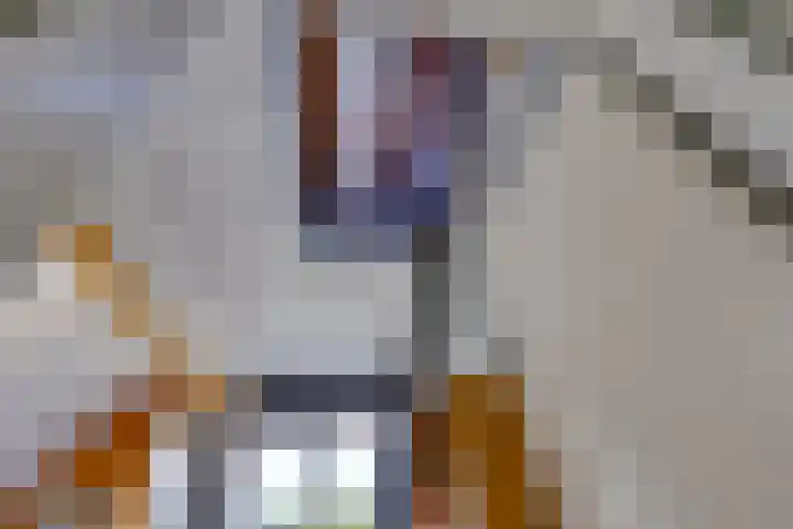 Oosterkampen 7 Ees thumbnail 28