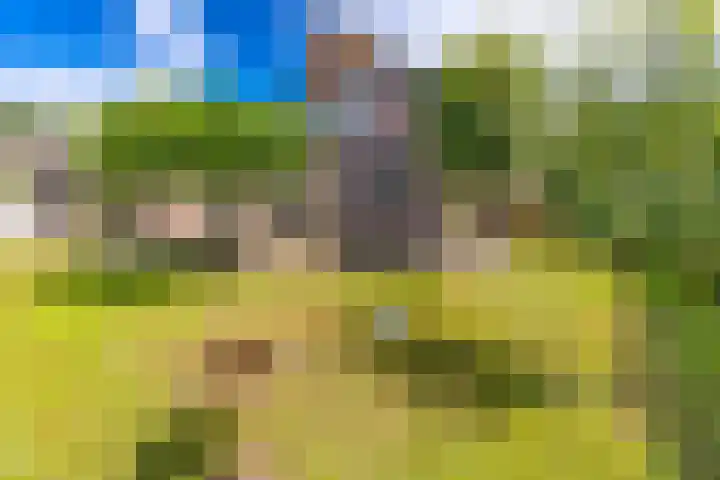 Oosterkampen 7 Ees thumbnail 30