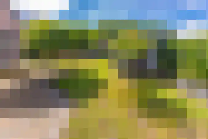Oosterkampen 7 Ees thumbnail 34