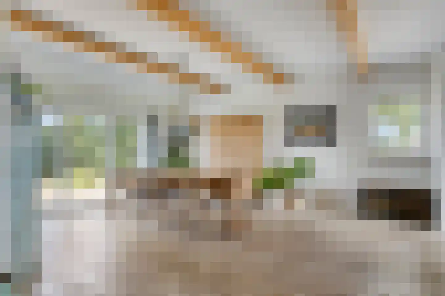 Oosterkanaaldijk 7 Heumen thumbnail 12